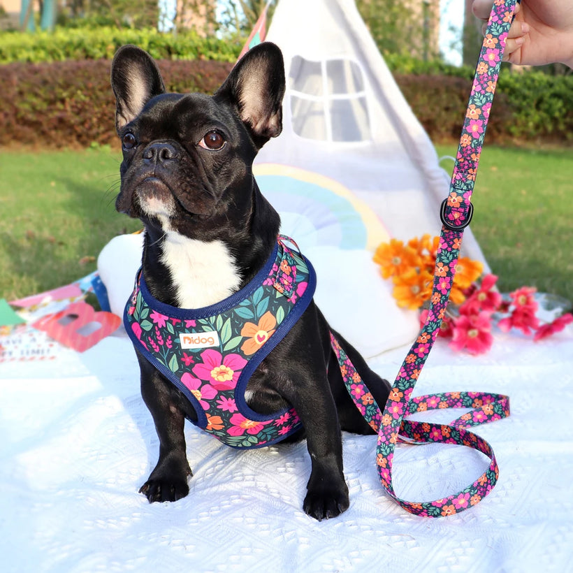 Adjustable Nylon Mesh Harness Leash Set - Printed Vest for Small Dogs & Cats