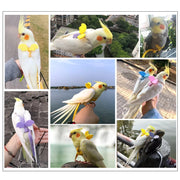 Adjustable Anti-Bite Bird Harness and Leash Set for Parrots