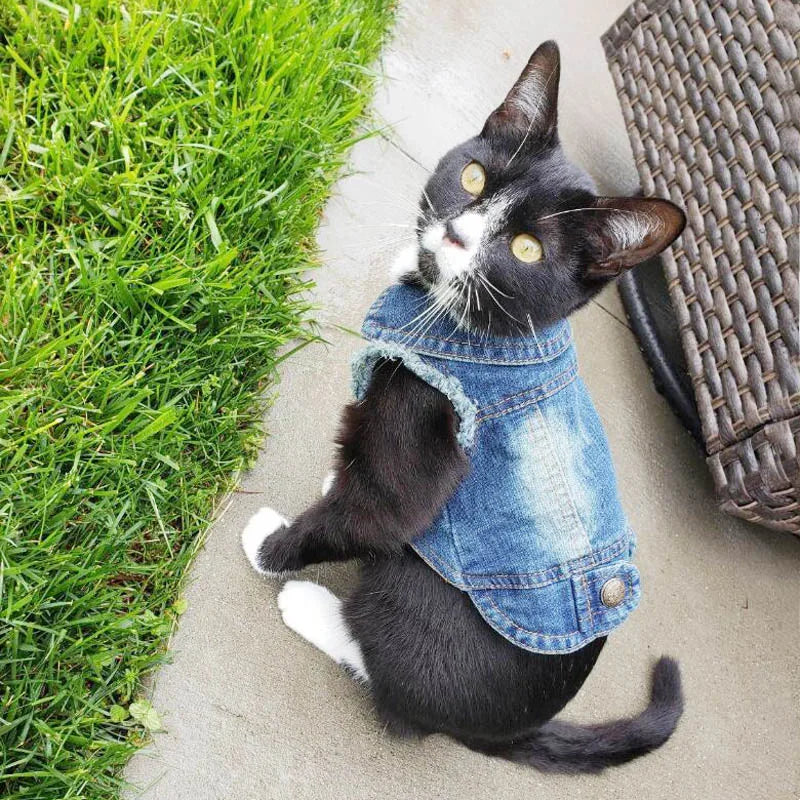 Cat Denim Vest Jacket - Spring Autumn Pet Apparel