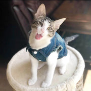 Cat Denim Vest Jacket - Spring Autumn Pet Apparel
