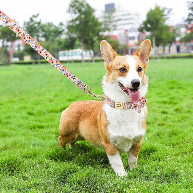Custom Engraved Nylon Dog Collar and Leash Set with Floral Print
