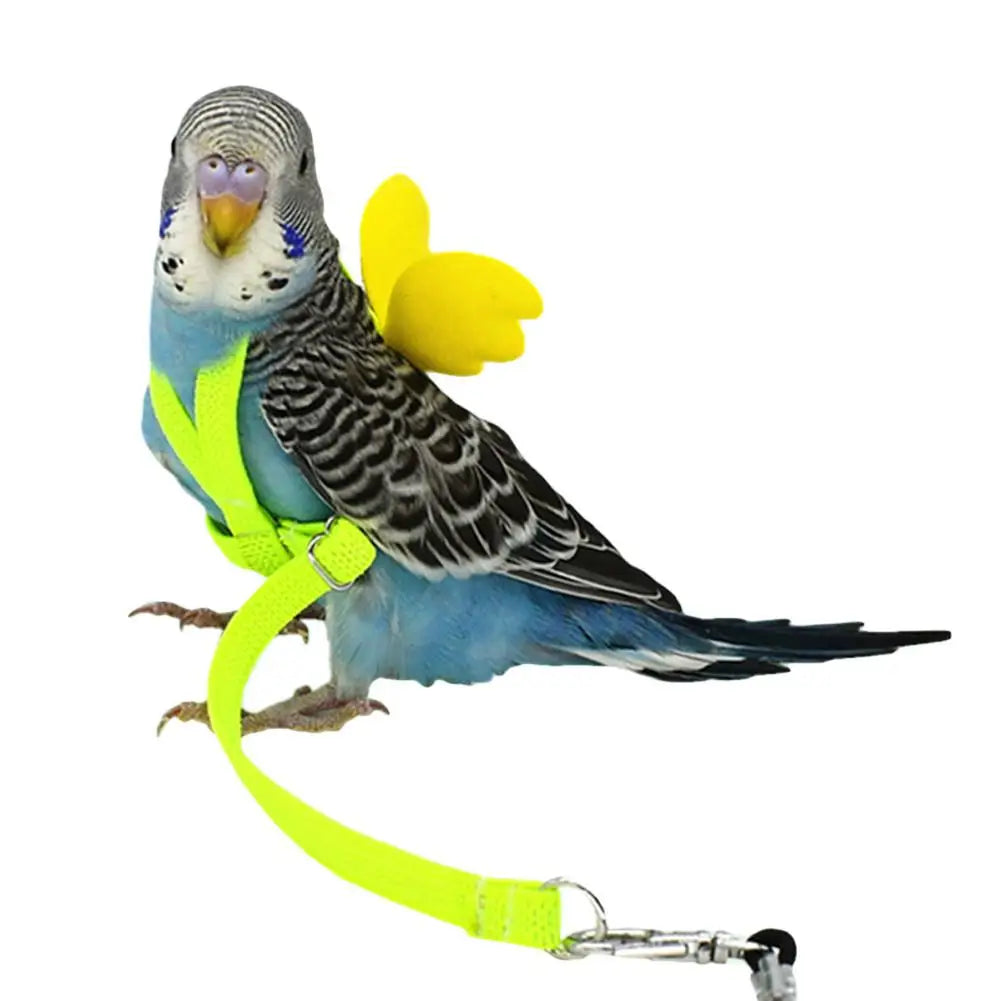 Adjustable Anti-Bite Bird Harness and Leash Set for Parrots