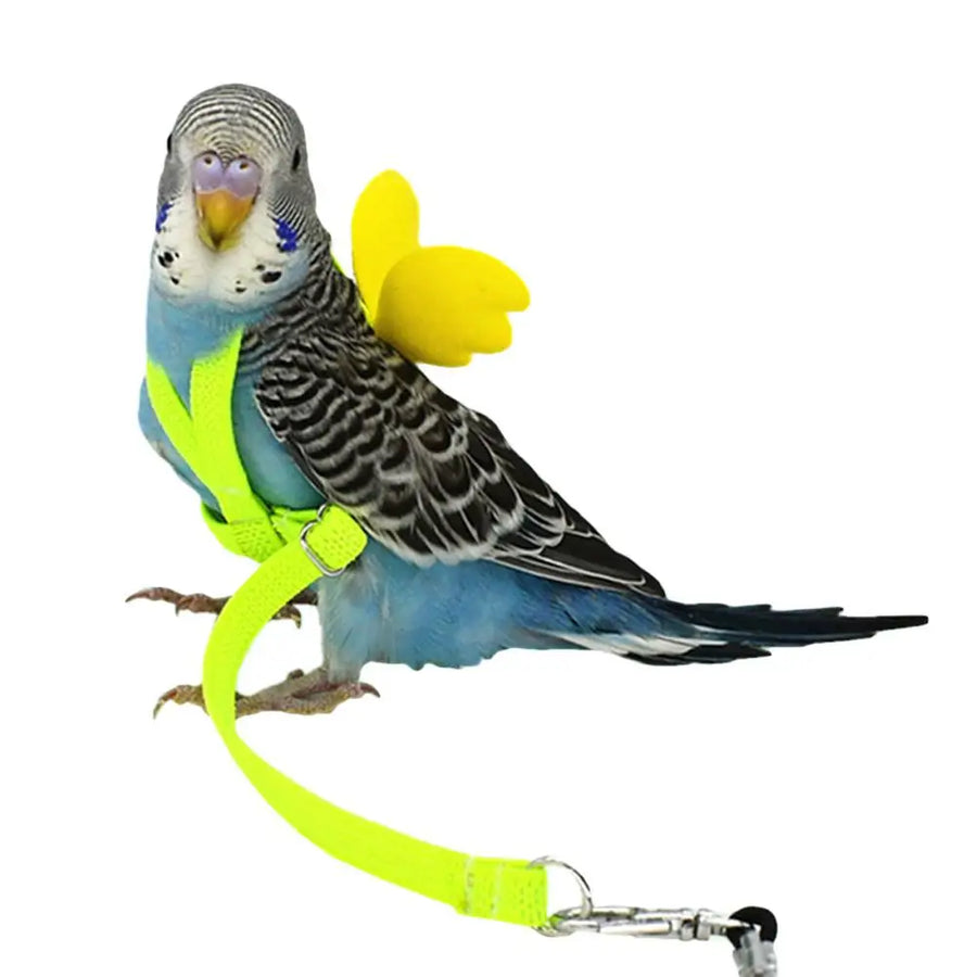 Adjustable Anti-Bite Bird Harness and Leash Set for Parrots