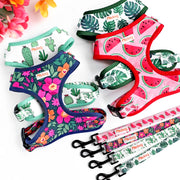 Adjustable Nylon Mesh Harness Leash Set - Printed Vest for Small Dogs & Cats