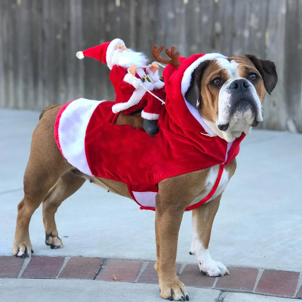 Santa Festival Pet Costume - Holiday Dog and Cat Outfit