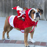 Santa Festival Pet Costume - Holiday Dog and Cat Outfit