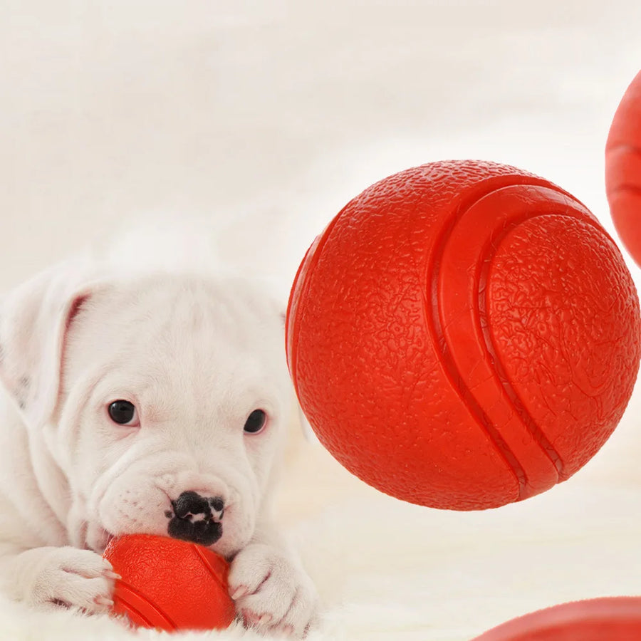 HOOPET Bite-Resistant Rubber Dog Ball - Solid Chew Toy for Puppies & Dogs