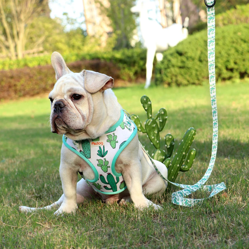Adjustable Nylon Mesh Harness Leash Set - Printed Vest for Small Dogs & Cats