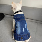 Cat Denim Vest Jacket - Spring Autumn Pet Apparel