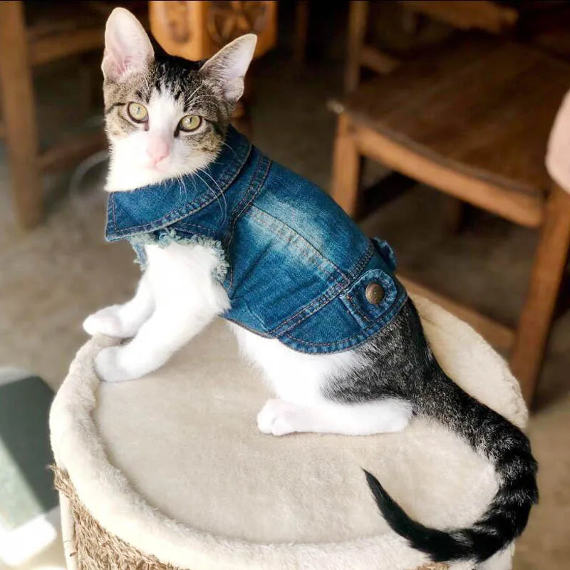 Cat Denim Vest Jacket - Spring Autumn Pet Apparel