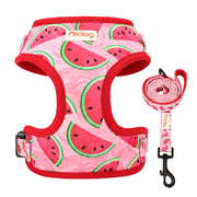 Adjustable Nylon Mesh Harness Leash Set - Printed Vest for Small Dogs & Cats