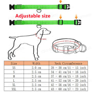 USB Rechargeable LED Dog Collar - 3-Mode Night Safety Light