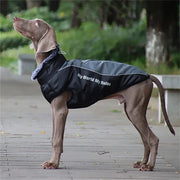 Fur Collar Winter Dog Coat - Thick Jacket for Medium & Large Dogs XL-6XL