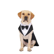 Formal Dog Tuxedo Shirt - Bow Tie Outfit for Weddings & Parties