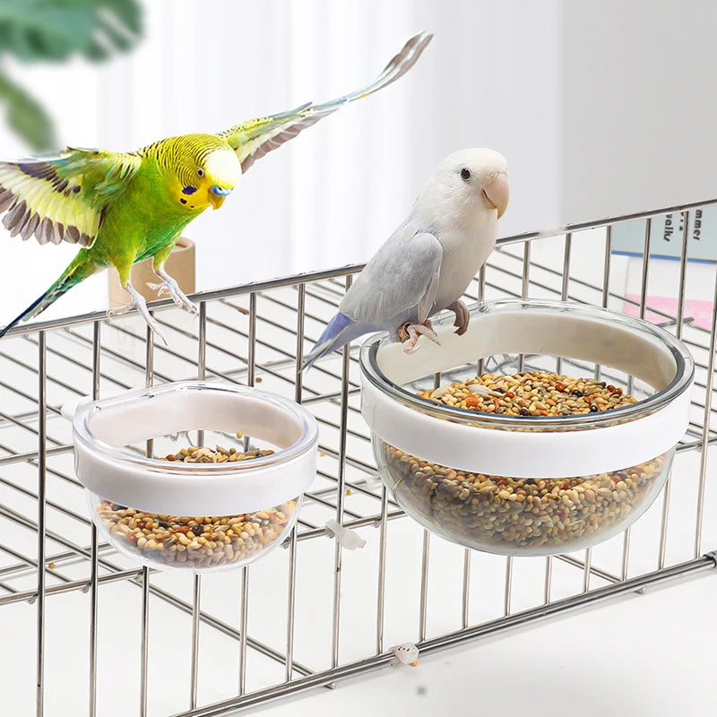 Detachable Transparent Bird Feeding Bowl for Parrots