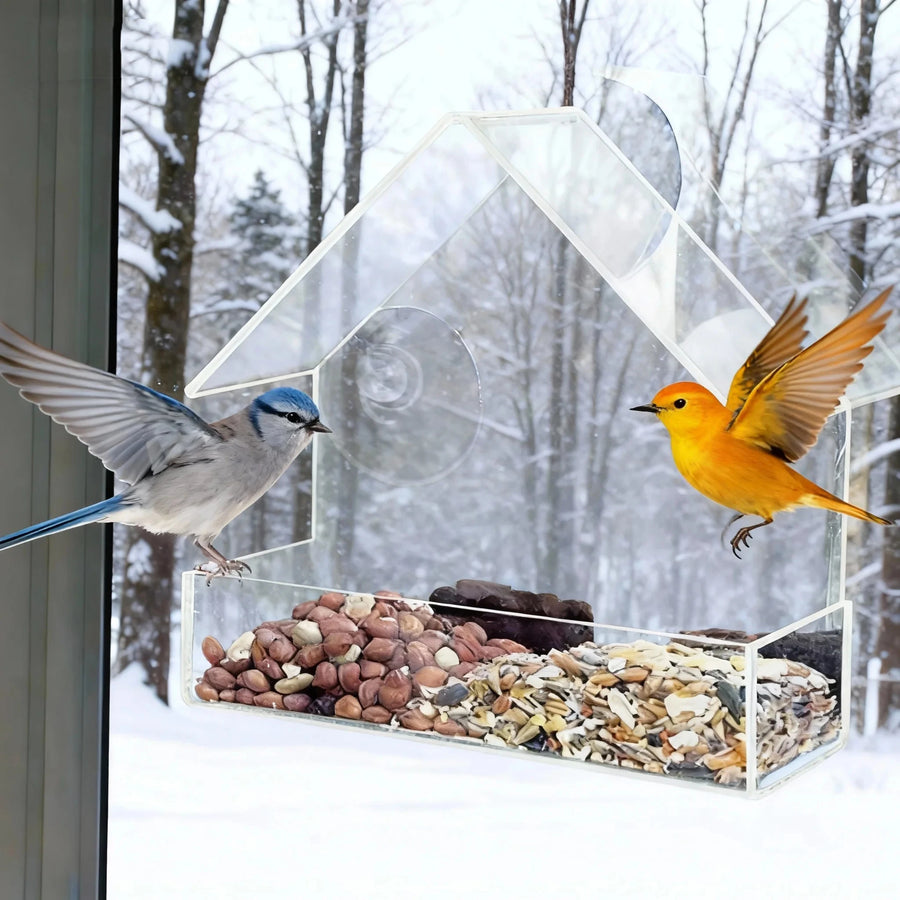Clear Acrylic Outdoor Window Bird Feeder House
