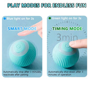 Smart Automatic Rolling Cat Ball Toy for Indoor Exercise