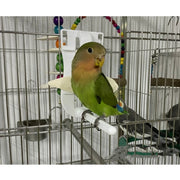 Clip-On Fruit and Vegetable Food Holder for Bird Cages