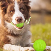 Glow-in-the-Dark TPR Squeaky Chew Ball for Dogs