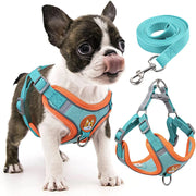 Reflective Step-In Dog Harness Leash Set - Soft Vest for Small & Medium Breeds