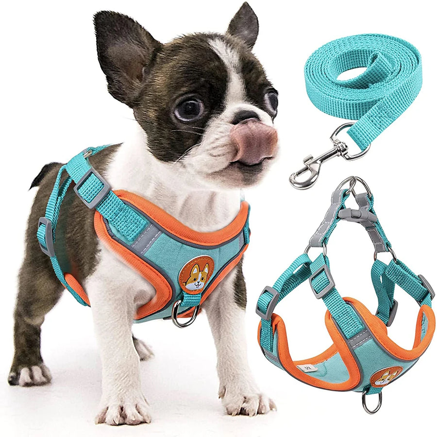 Reflective Step-In Dog Harness Leash Set - Soft Vest for Small & Medium Breeds
