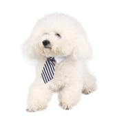 Adjustable Pet Bow Tie Necktie Collar for Small Dogs and Cats