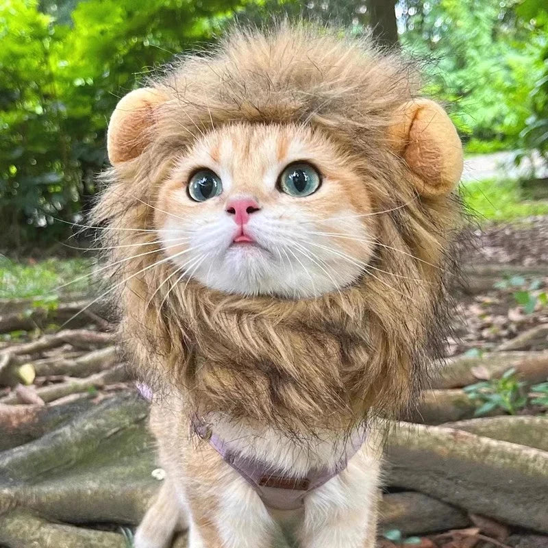 Lion Mane Cat Hat - Elastic Party Photo Prop