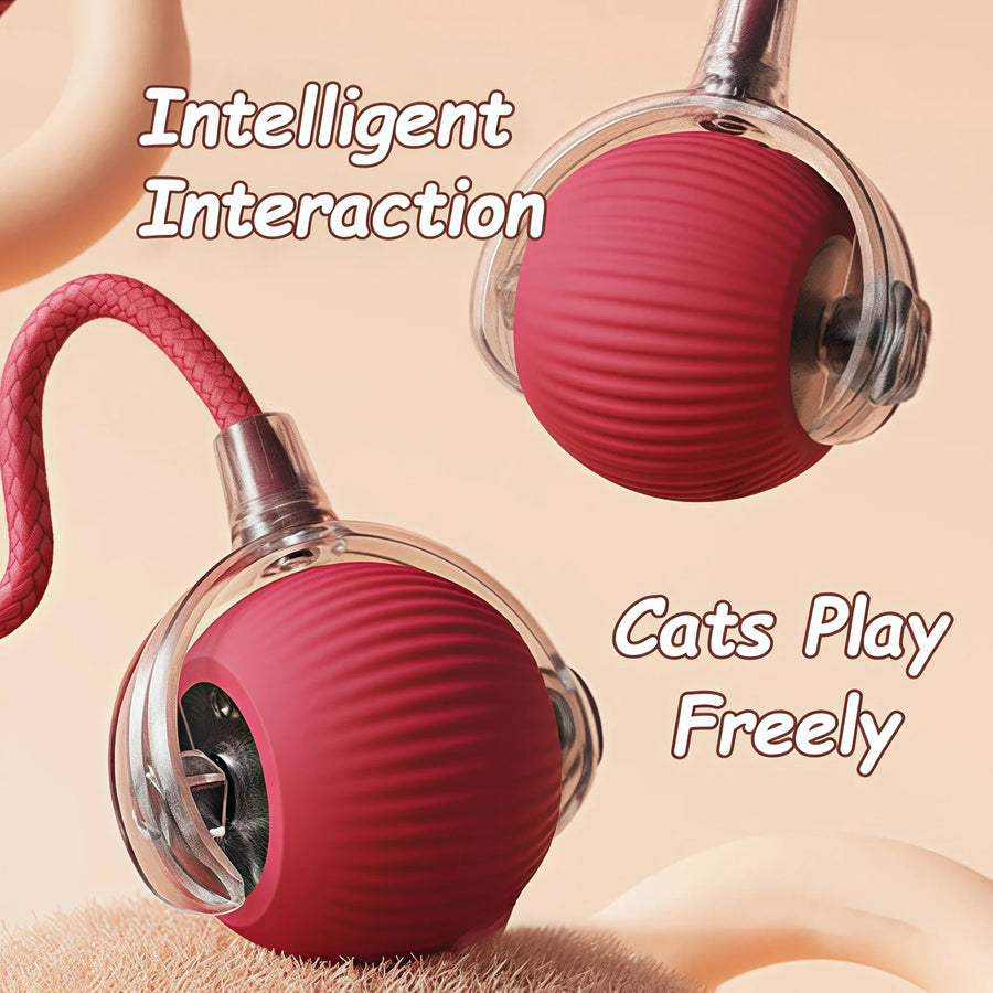 Rechargeable Rolling Ball Cat Toy with Faux Tail