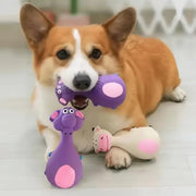 Squeaky Animal Dog Chew Toy - Bite-Resistant Rubber Play Toy