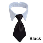 Adjustable Pet Bow Tie Necktie Collar for Small Dogs and Cats