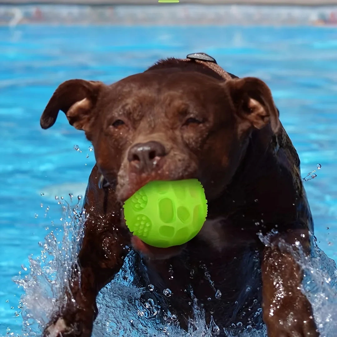 Dogs