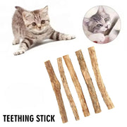Natural Catnip Molar Sticks for Cats - Teeth Cleaning Chew Toys