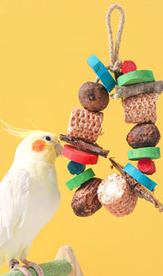 Natural Wood and Loofah Hanging Chew Toy for Birds