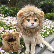 Lion Mane Cat Hat - Elastic Party Photo Prop