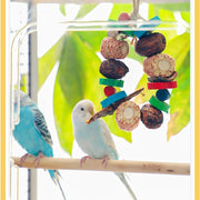 Natural Wood and Loofah Hanging Chew Toy for Birds
