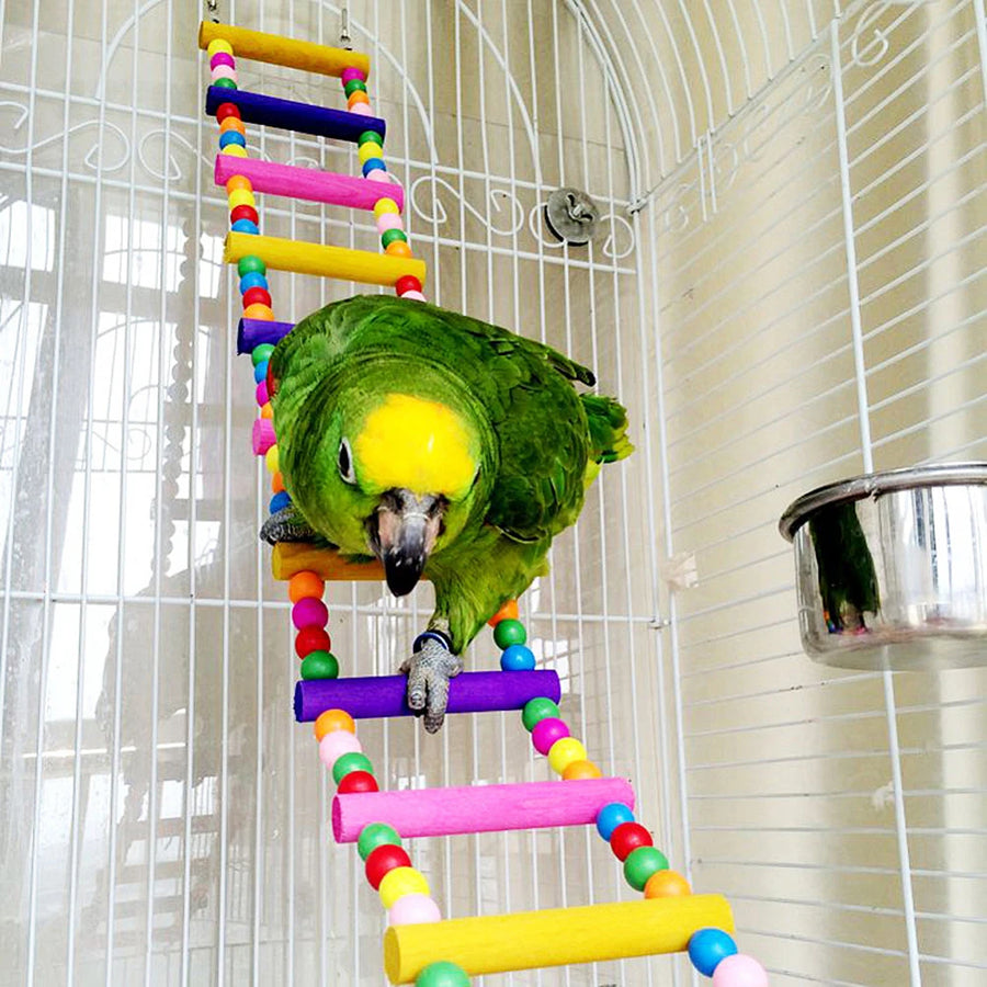 12-Step Multicolor Hanging Ladder Toy for Birds