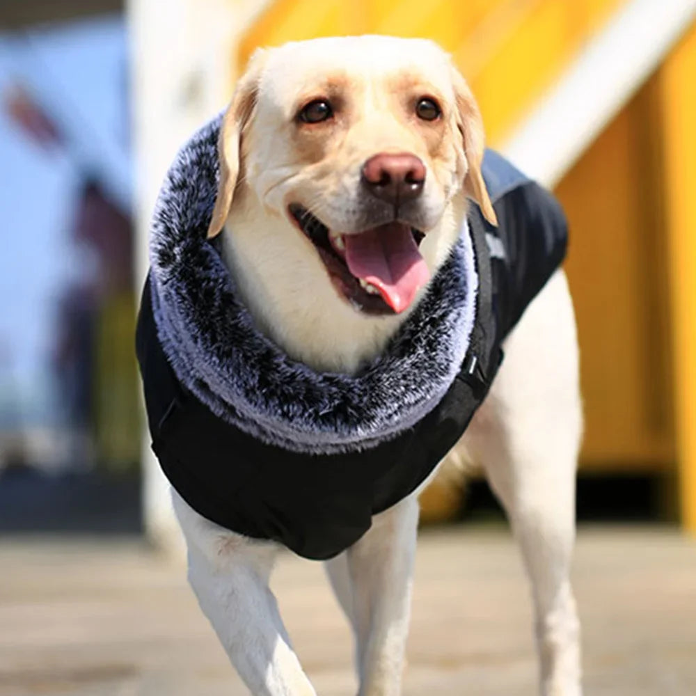Fur Collar Winter Dog Coat - Thick Jacket for Medium & Large Dogs XL-6XL