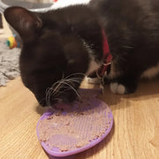 Small Pet Silicone Lick Mat and Slow Feeder Bowl for Cats and Dogs Under 3kg