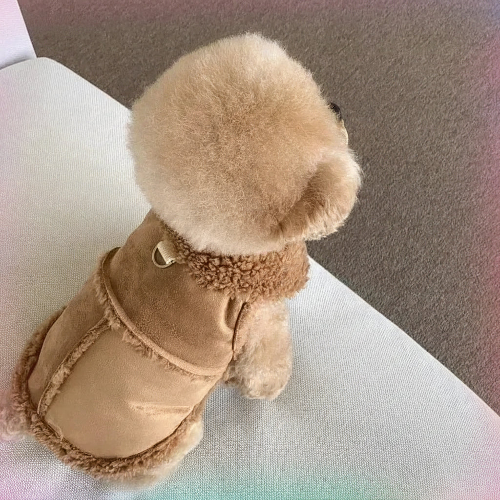 Cute Cotton Dog Vest Jacket - Soft Autumn Winter Coat for Small Pets