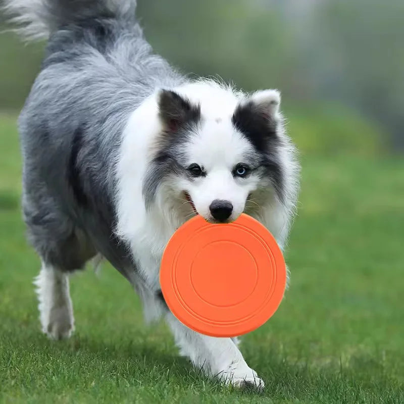 Chewable Rubber Dog Frisbee - Tear-Resistant Fetch Training Disc