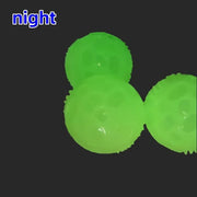 Glow-in-the-Dark TPR Squeaky Chew Ball for Dogs