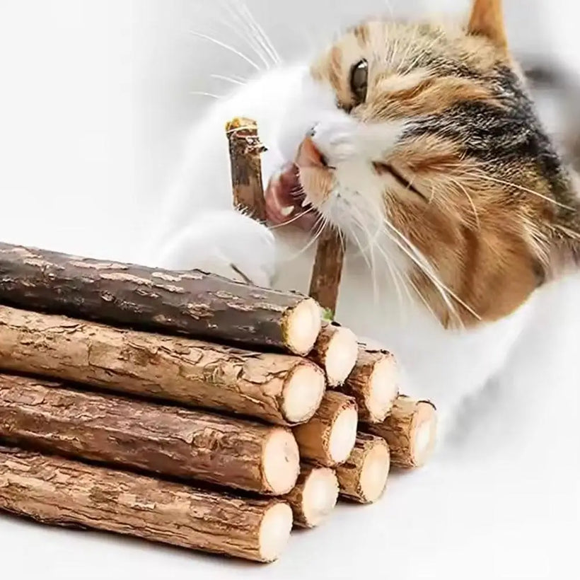 Natural Catnip Molar Sticks for Cats - Teeth Cleaning Chew Toys