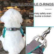 Reflective Step-In Dog Harness Leash Set - Soft Vest for Small & Medium Breeds