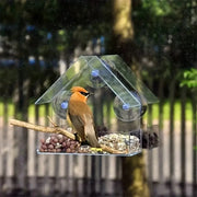 Clear Acrylic Window Bird Feeder with Suction Cups