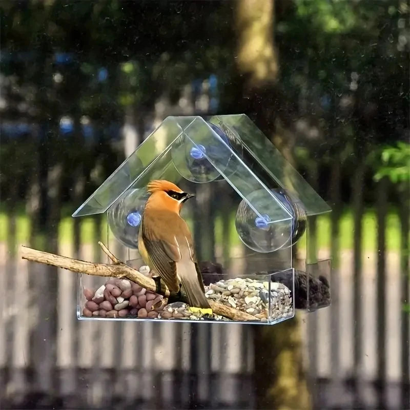Clear Acrylic Window Bird Feeder with Suction Cups