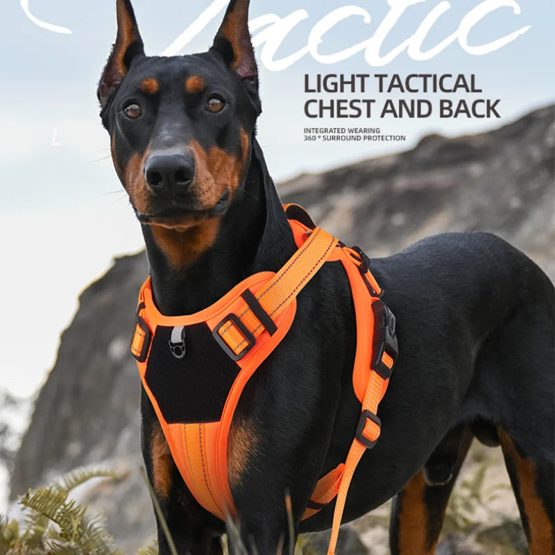 Reflective No-Pull Dog Harness - Adjustable Control Chest Harness