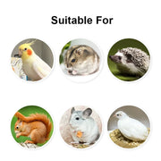 Detachable Transparent Bird Feeding Bowl for Parrots