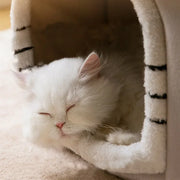 Foldable Cat Cave Bed - Deep Sleep Small Dog House