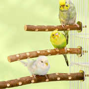Natural Wood Fork Perch Stand for Parakeets and Cockatiels