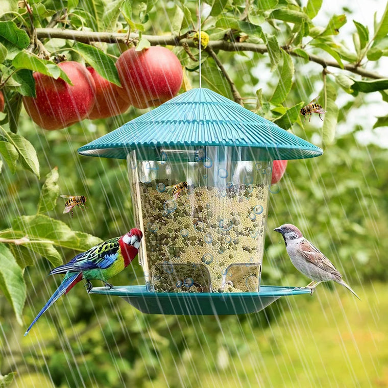 Hanging Outdoor Bird Feeder with Multiple Food Ports